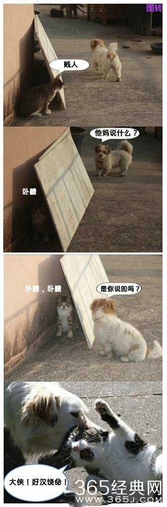 每日休闲时刻 生活中的奇葩事迹