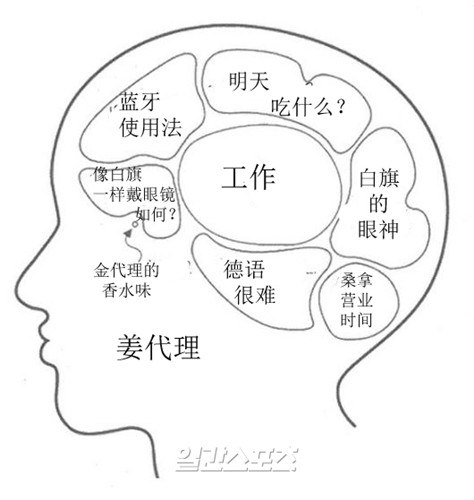 韩剧《未生》中夏代理姜代理的手绘脑结构图
