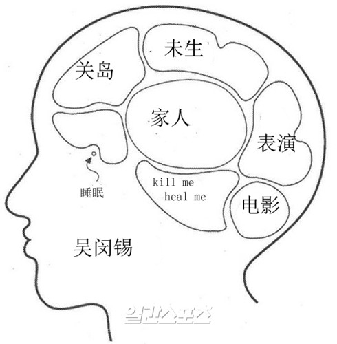 韩剧《未生》中夏代理姜代理的手绘脑结构图