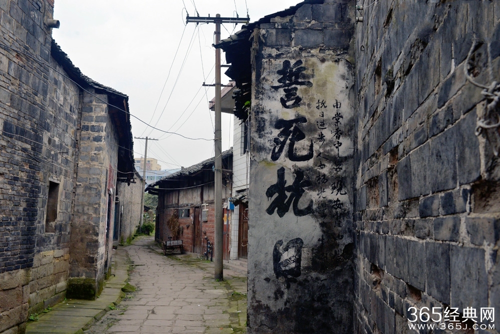 尘封77年的爱情图片