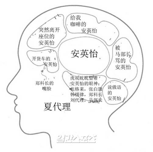 韩剧《未生》中夏代理姜代理的手绘脑结构图