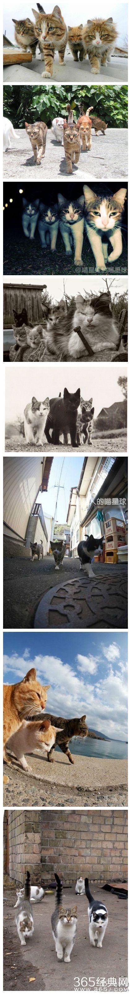 每日休闲时刻 多学是有好处滴