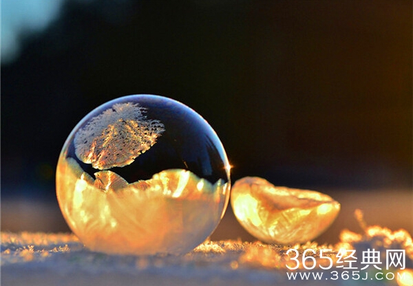 美哭了，这TM才叫冰雪奇缘！