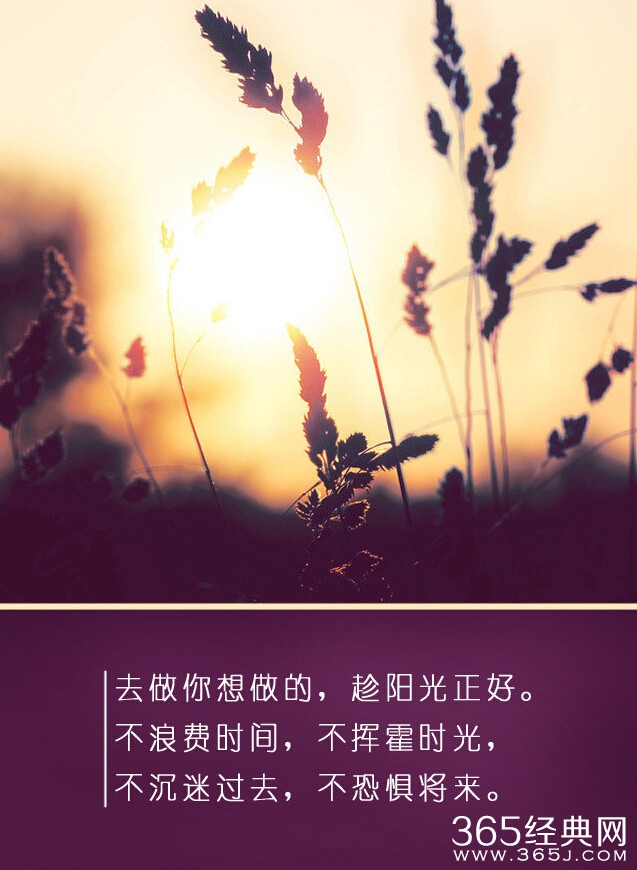 你要拿什么与2014告别：彷徨、孤独还是奋斗