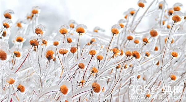 美哭了，这TM才叫冰雪奇缘！