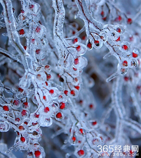 美哭了，这TM才叫冰雪奇缘！
