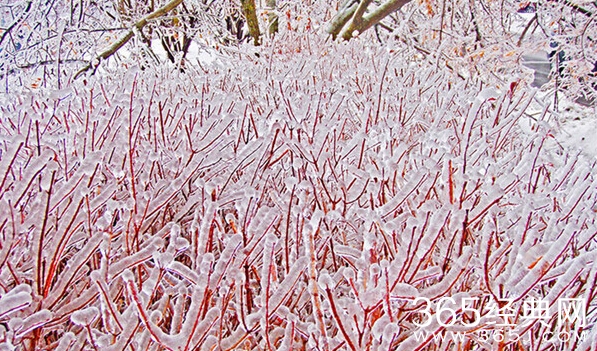 美哭了，这TM才叫冰雪奇缘！