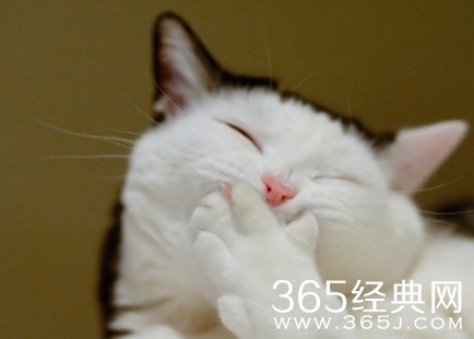 幽默笑话：爱笑的女孩运气不会太差