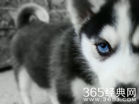 【笑话段子】爱笑的女孩运气不会太差