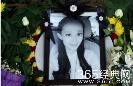 美女主播园园图片