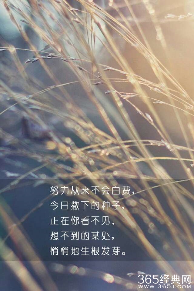 你要拿什么与2014告别：彷徨、孤独还是奋斗