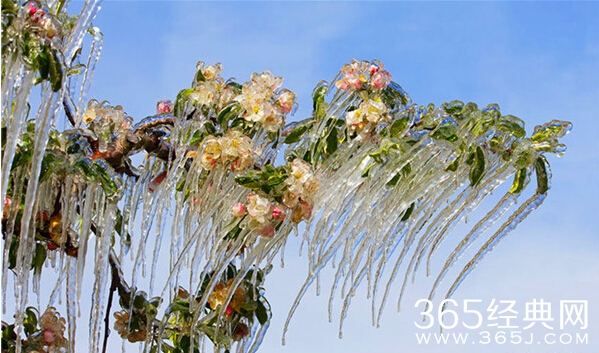 美哭了，这TM才叫冰雪奇缘！