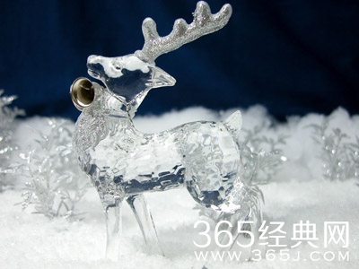 圣诞节祝福图片