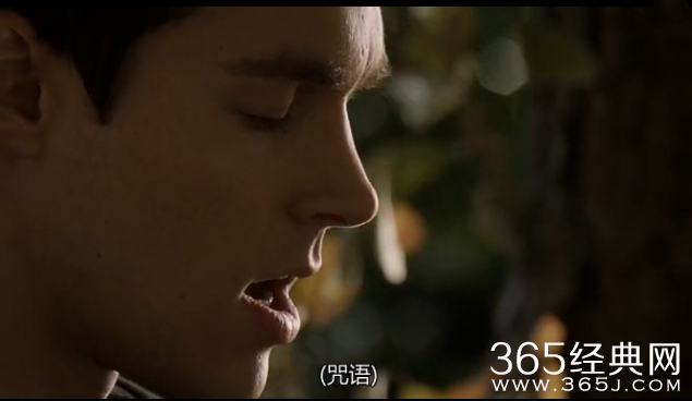 吸血鬼日记第6季剧情介绍