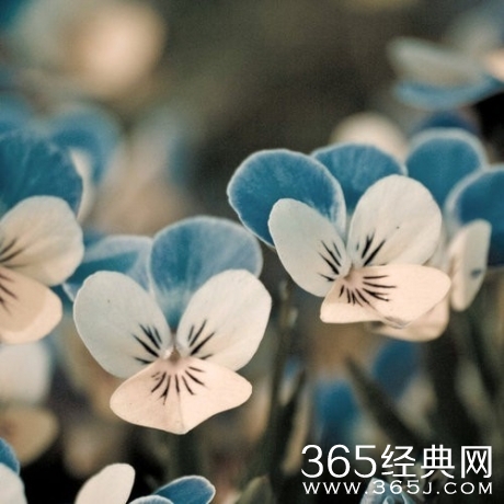 早安心语：若你欲哭无泪 尝试着说出来