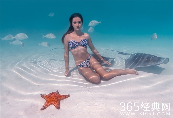 2014网络十大美女