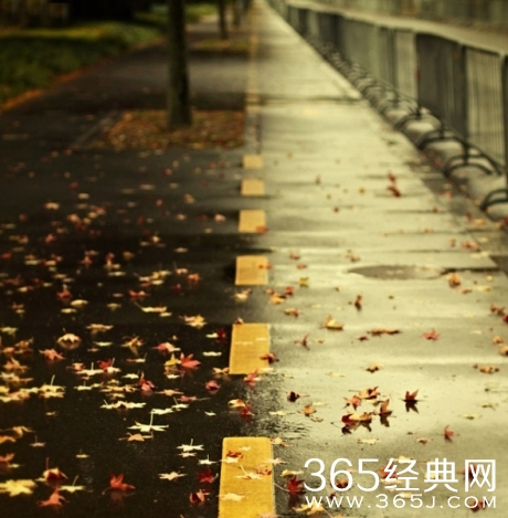 早安心语：若你欲哭无泪 尝试着说出来