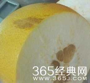 每日休闲时刻 逗比总能自娱自乐