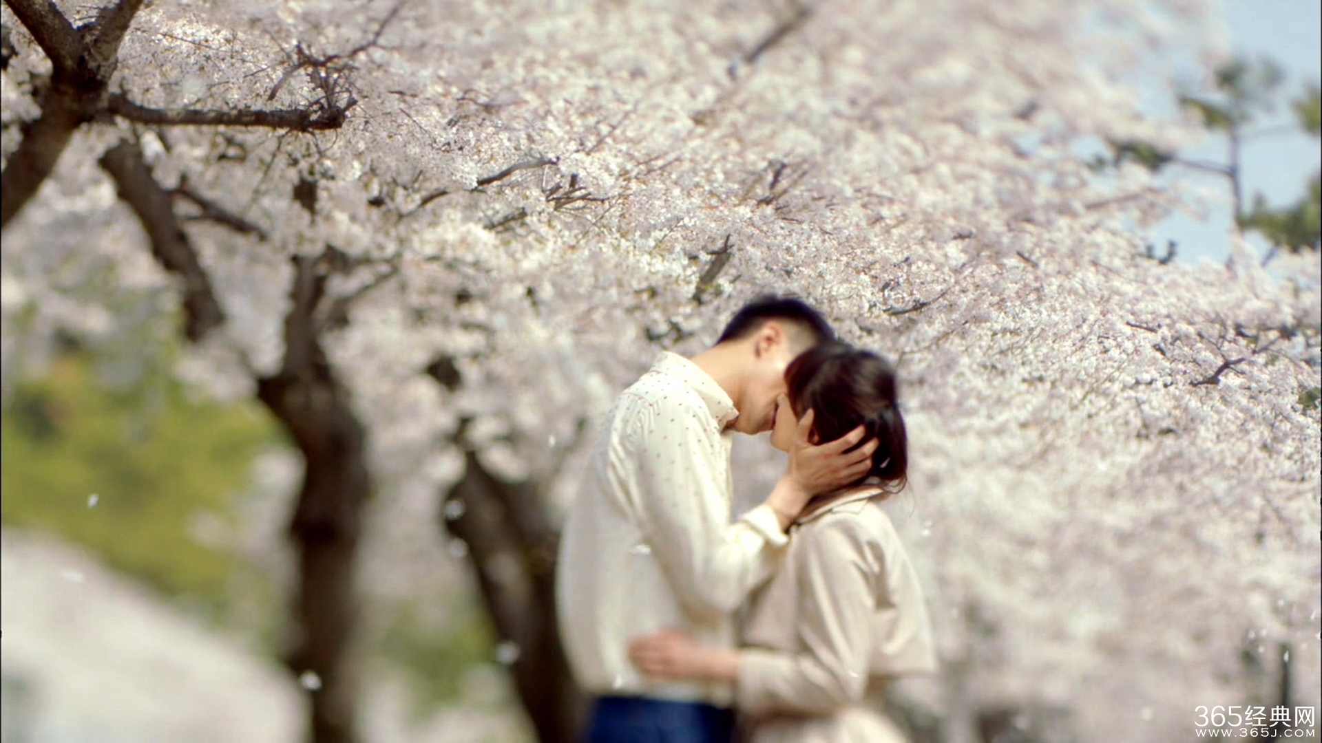 那一年的冬天很冷相关图片