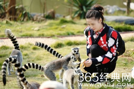 一年级20141219期剧情介绍相关图片