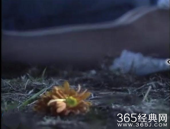 小龙女有没有怀孕