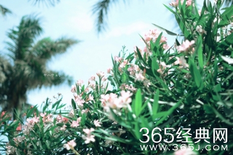 多么痛的领悟：人生没有如果 只有后果和结果