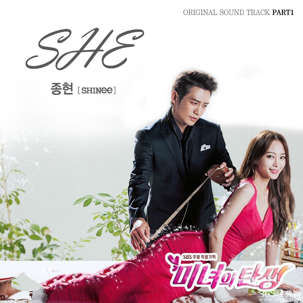 美女的诞生什么时候更新 一周更新几集