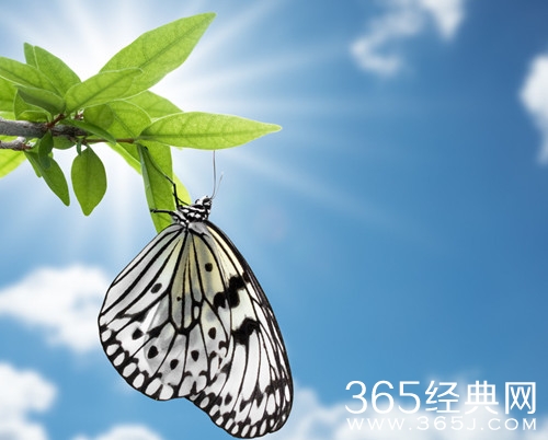 换个想法 也许会有意想不到的新天地图片