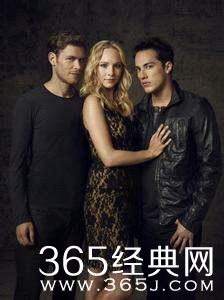 吸血鬼日记十大CP组合