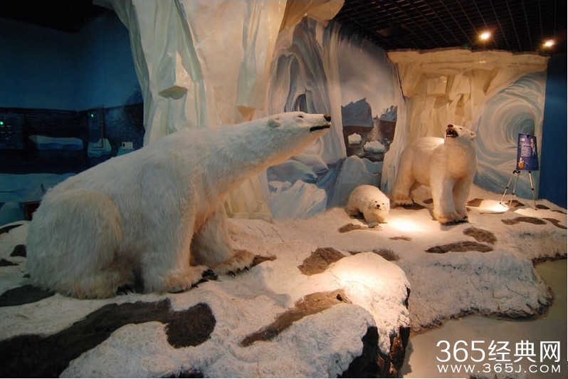 长沙旅游景点图片