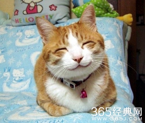 逗女友开心的搞笑短信