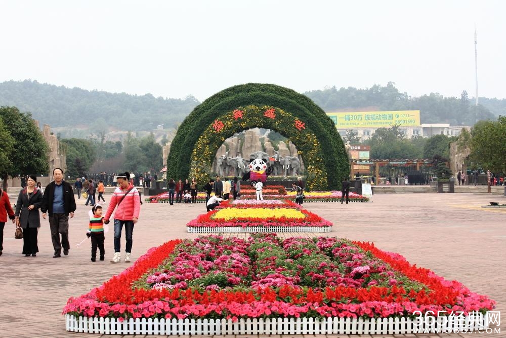 长沙旅游景点图片