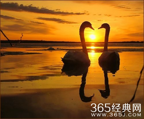 学会保护自己，不要在乎别人而失去自我图片