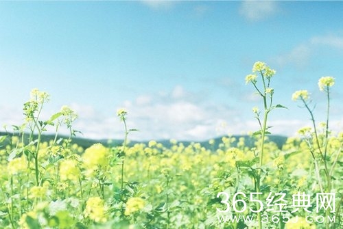 经典正能量歌曲试听