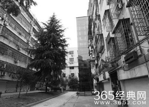 任性孝子为母买楼