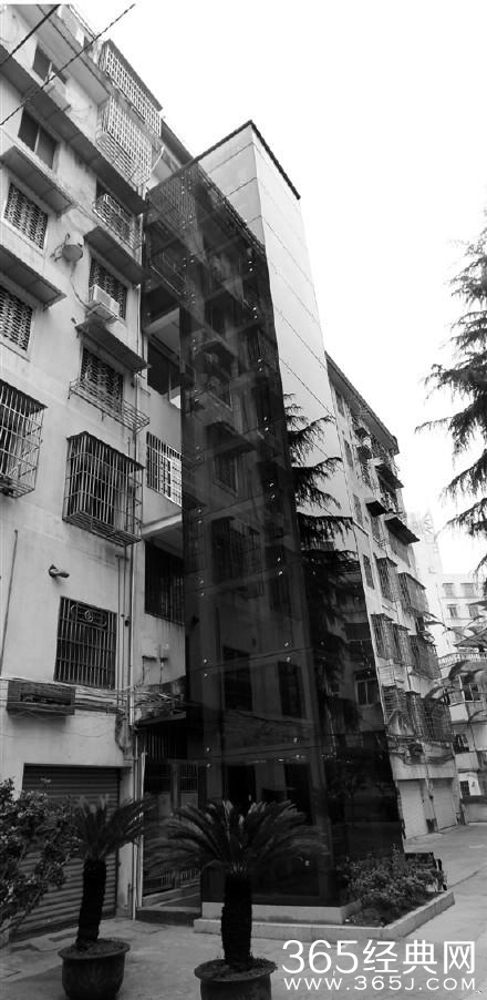 任性孝子为母买楼