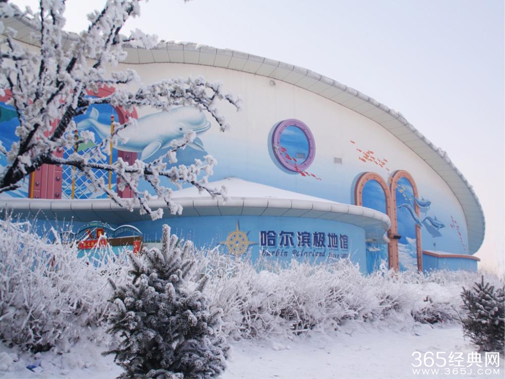 哈尔滨旅游经典图片