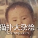 掉进粪坑的体验