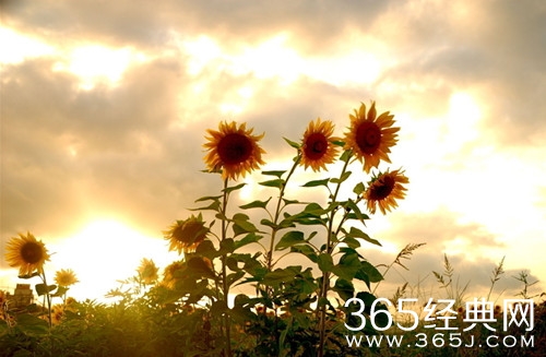 面对质疑 该怎么办图片