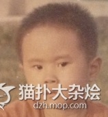 掉进粪坑的体验