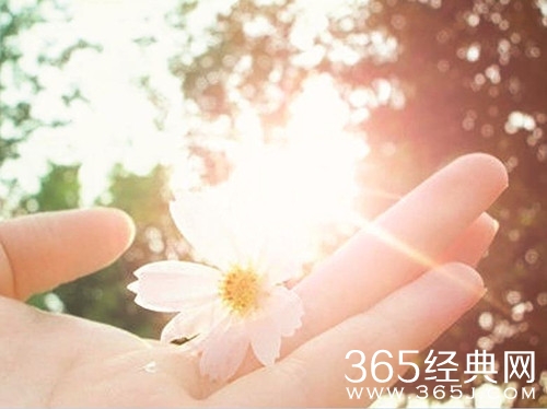 当你遭遇了不幸该如何选择图片