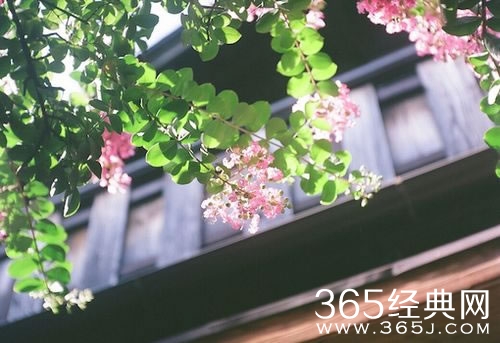 12种错误心态 你远离它了吗