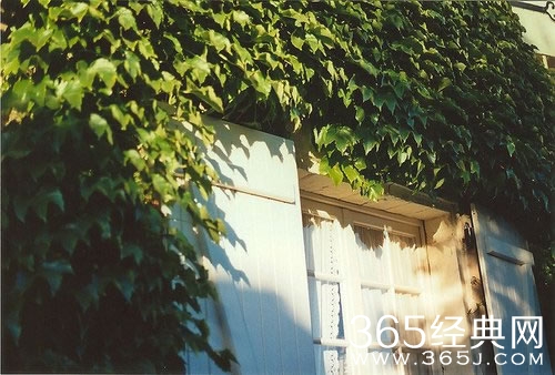 12种错误心态 你远离它了吗