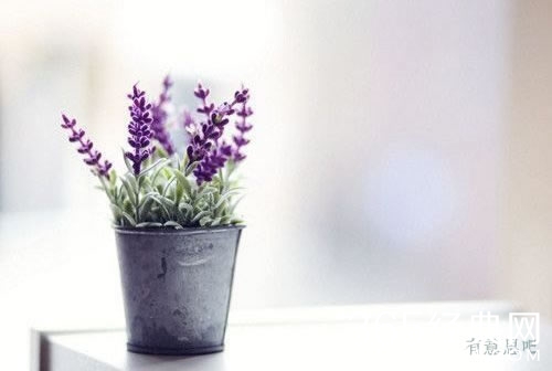 12种错误心态 你远离它了吗