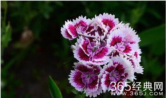 人生感悟：10句话让你看透生活明白爱情