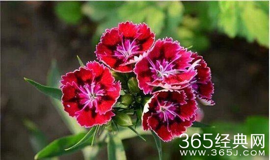 人生感悟：10句话让你看透生活明白爱情