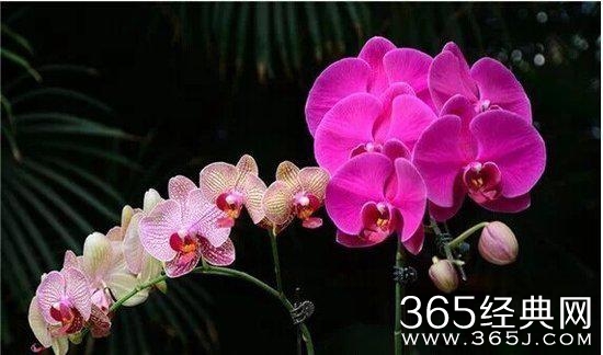 人生感悟：10句话让你看透生活明白爱情