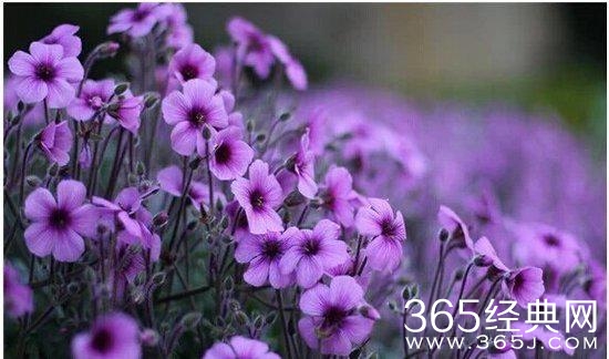 人生感悟：10句话让你看透生活明白爱情