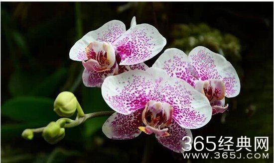 人生感悟：10句话让你看透生活明白爱情