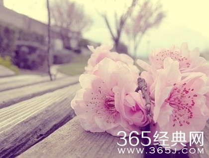 14条句句入心的经典语录 你看了吗